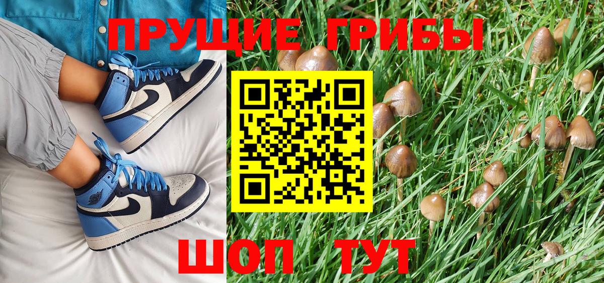 Псилоцибиновые грибы Psilocybine cubensis  Вход с VPN  Дзержинск  Галлюциногенные грибы прущие грибы 